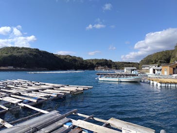 真珠工房 真珠の里に投稿された画像（2025/1/17）