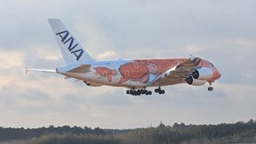 航空科学博物館に投稿された画像（2025/1/17）