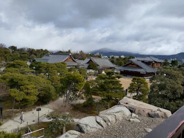 元離宮二条城に投稿された画像（2025/1/17）