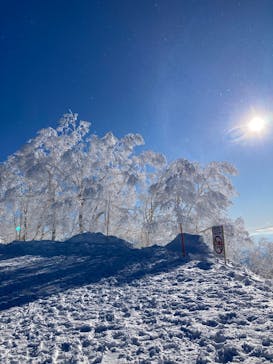 竜王スキーパークに投稿された画像（2025/1/17）
