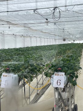 株式会社こまち野に投稿された画像（2025/1/18）