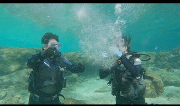 武藤潜水に投稿された画像（2025/1/18）