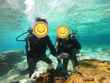 武藤潜水に投稿された画像（2025/1/18）