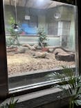 名古屋市東山動植物園に投稿された画像（2025/1/18）