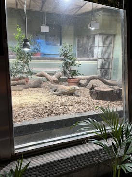 名古屋市東山動植物園に投稿された画像（2025/1/18）