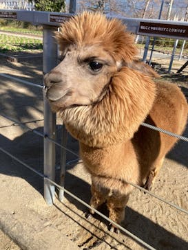 神戸どうぶつ王国に投稿された画像（2025/1/18）