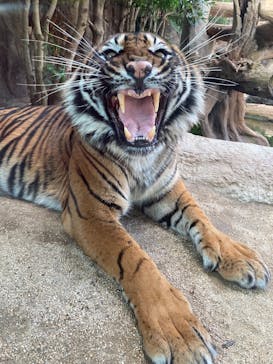 神戸どうぶつ王国に投稿された画像（2025/1/18）