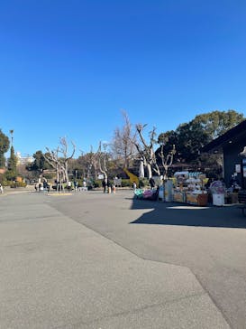 天王寺動物園に投稿された画像（2025/1/18）