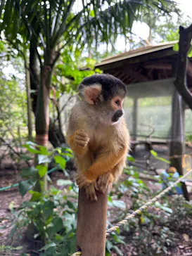 石垣やいま村に投稿された画像（2025/1/18）