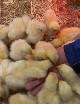 アニタッチららぽーと名古屋みなとアクルスに投稿された画像（2025/1/18）