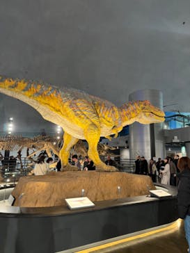 福井県立恐竜博物館に投稿された画像（2025/1/18）
