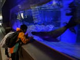 すみだ水族館に投稿された画像（2025/1/18）
