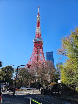 東京タワーに投稿された画像（2025/1/18）
