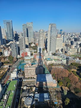 東京タワーに投稿された画像（2025/1/18）