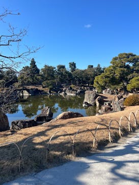 元離宮二条城に投稿された画像（2025/1/18）