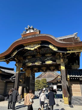 元離宮二条城に投稿された画像（2025/1/18）