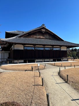 元離宮二条城に投稿された画像（2025/1/18）