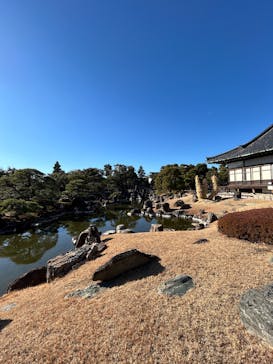 元離宮二条城に投稿された画像（2025/1/18）