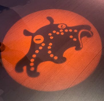 サンシャイン水族館に投稿された画像（2025/1/18）