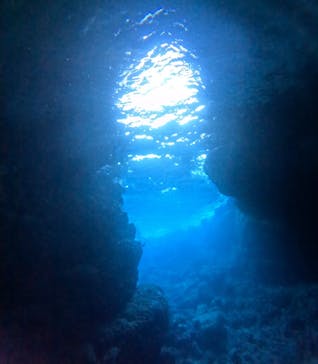 沖縄マリンサービス碧に投稿された画像（2025/1/18）