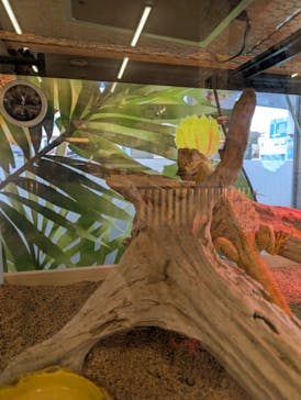 アニタッチ MARK IS 静岡に投稿された画像（2025/1/18）