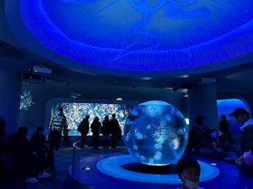 新江ノ島水族館に投稿された画像（2025/1/18）