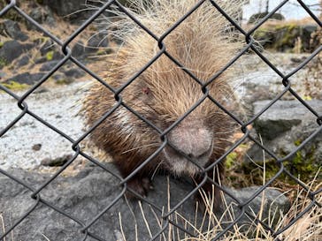 阿蘇カドリー・ドミニオンに投稿された画像（2025/1/18）