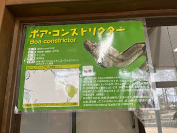 阿蘇カドリー・ドミニオンに投稿された画像（2025/1/18）