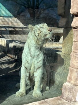 東武動物公園に投稿された画像（2025/1/18）