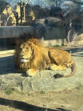 東武動物公園に投稿された画像（2025/1/18）