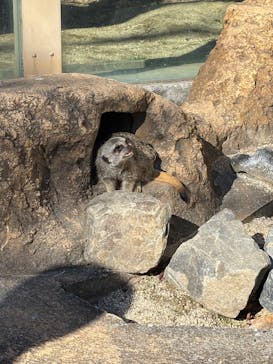 東武動物公園に投稿された画像（2025/1/18）