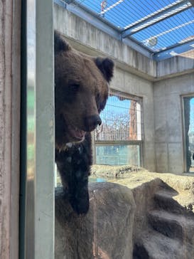 東武動物公園に投稿された画像（2025/1/18）
