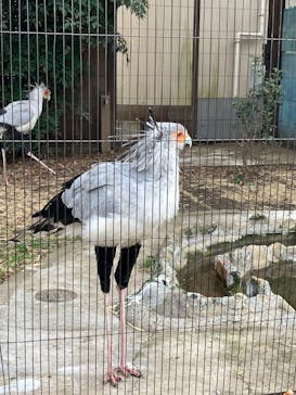 恩賜上野動物園に投稿された画像（2025/1/18）