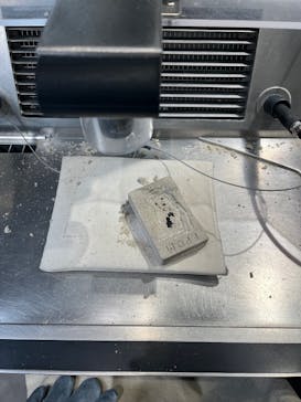 福井県立恐竜博物館に投稿された画像（2025/1/18）