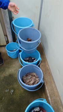 沖縄美ら海水族館（館内体験）に投稿された画像（2025/1/18）