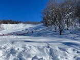 水上高原 藤原スキー場に投稿された画像（2025/1/18）