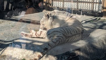 東武動物公園に投稿された画像（2025/1/18）