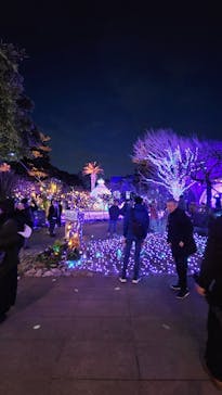 江の島シーキャンドルに投稿された画像（2025/1/18）