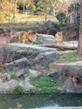 天王寺動物園に投稿された画像（2025/1/18）
