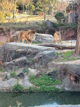 天王寺動物園に投稿された画像（2025/1/18）