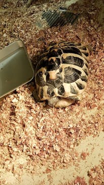 アニタッチ 東京ドームシティに投稿された画像（2025/1/18）