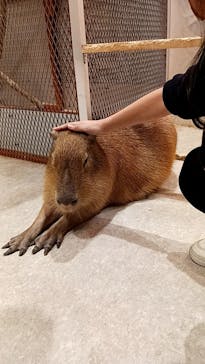 アニタッチ 東京ドームシティに投稿された画像（2025/1/18）