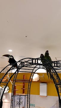 アニタッチ 東京ドームシティに投稿された画像（2025/1/18）