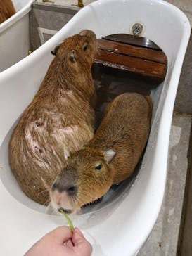 アニタッチ 東京ドームシティに投稿された画像（2025/1/18）