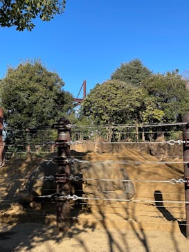 恩賜上野動物園に投稿された画像（2025/1/18）