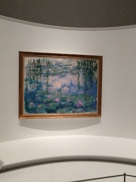 モネ 睡蓮のとき（国立西洋美術館）に投稿された画像（2025/1/18）