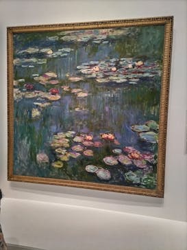 モネ 睡蓮のとき（国立西洋美術館）に投稿された画像（2025/1/18）