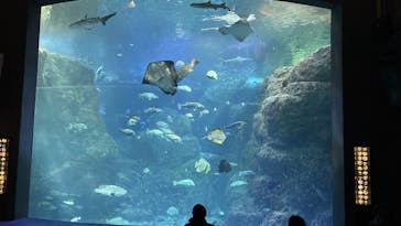 新江ノ島水族館に投稿された画像（2025/1/18）