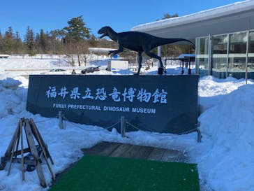 福井県立恐竜博物館に投稿された画像（2025/1/18）