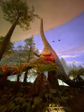 福井県立恐竜博物館に投稿された画像（2025/1/18）